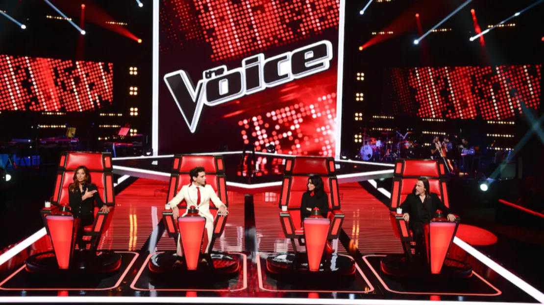 The Voice : ces artistes qui ont réussi grâce à l'émission