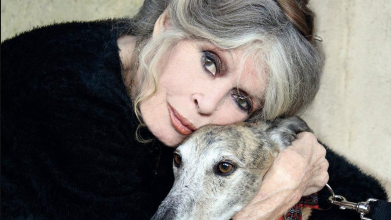 Adieu B.B. : Brigitte Bardot, l'ic&ocirc;ne absolue, s'est &eacute;teinte &agrave; 91 ans