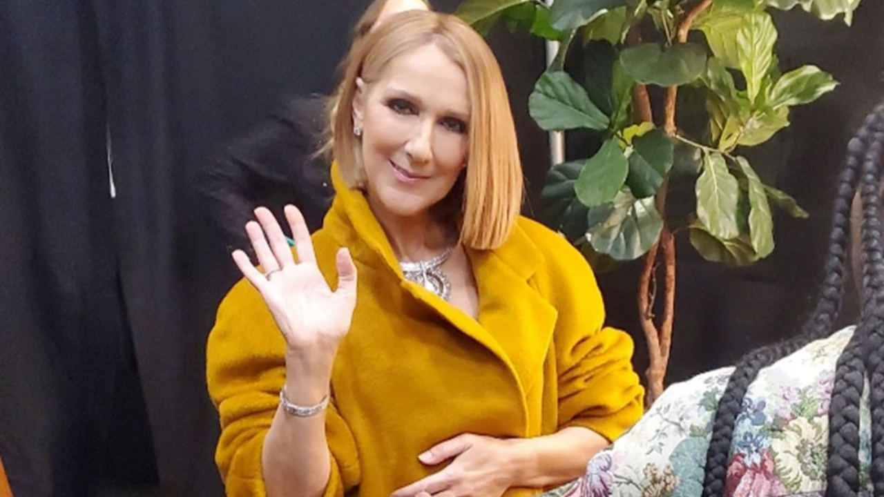 Céline Dion : on connait la date de diffusion de son documentaire sur Amazon