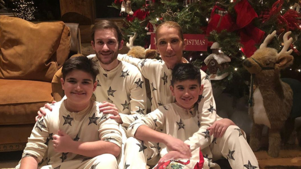 Céline Dion : rare photo avec ses jumeaux
