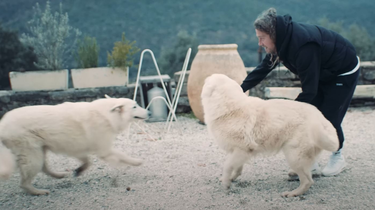 Julien Doré touchant après la fin de sa tournée