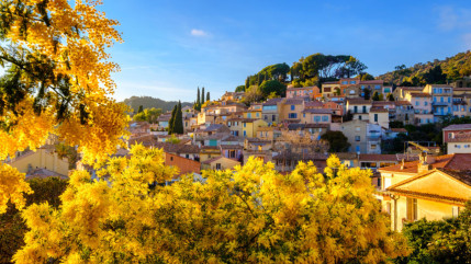 Bormes-les-Mimosas &eacute;lu &laquo; Village pr&eacute;f&eacute;r&eacute; des Fran&ccedil;ais 2026 &raquo;