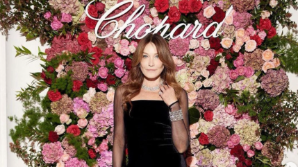 Carla Bruni blessée par un film de sa sœur