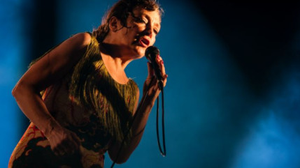 Catherine Ringer revient sur "le vent" infligé au Président