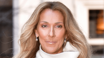 Céline Dion : les souvenirs fous de Stéphane Rotenberg sur la star