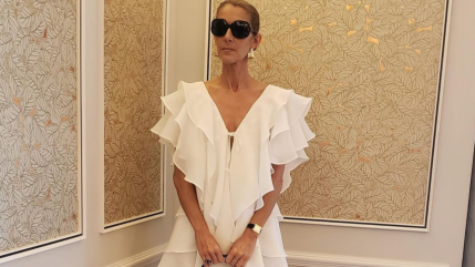 Céline Dion : rare cliché avec ses trois fils