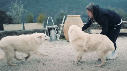 Julien Doré touchant après la fin de sa tournée