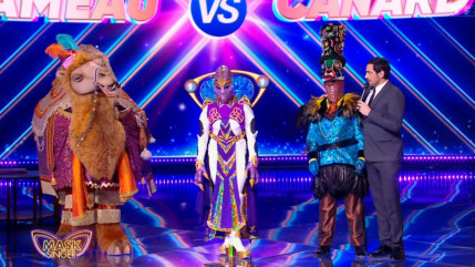 "Mask Singer" : le prix des costumes a été dévoilé