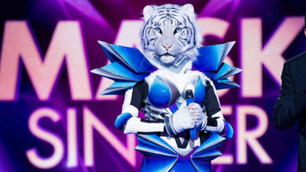 Mask Singer : Chenille, chameau, plante carnivore... découvrez les nouveaux costumes !