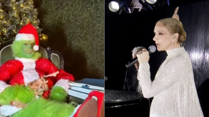 Pour No&euml;l, C&eacute;line Dion a d&eacute;cid&eacute; de se d&eacute;guiser ... en GRINCH !