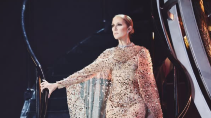 Surprise : le jet privé de Céline Dion aperçu à Bâle !