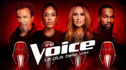 The Voice : La nouvelle &eacute;preuve : des "qualifications" fait pol&eacute;mique et divise d&eacute;j&agrave; le public