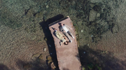 Christophe Mali de Tryo et Lucie Lebrun de LEJ sont les "Derniers Humains"